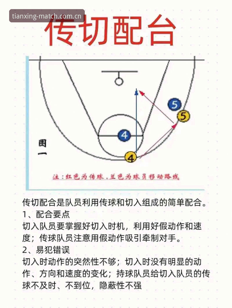 天行体育官方版必备指南：5个让你看球更爽的实用技巧